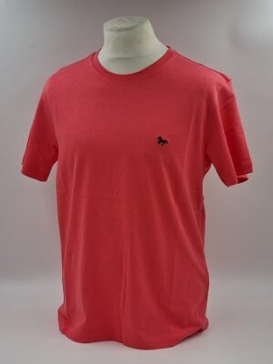 (TSOUSP) – Corail
