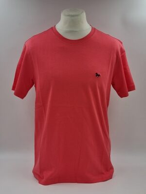 (TSOUSP) – Corail